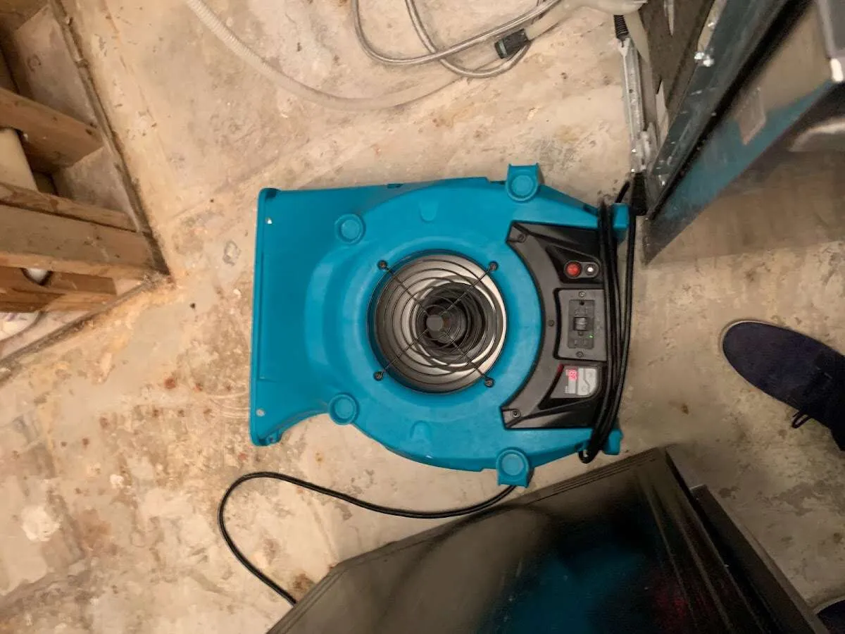 Air mover drying equipment for Mold Remediation & Removal in Carneys Point
